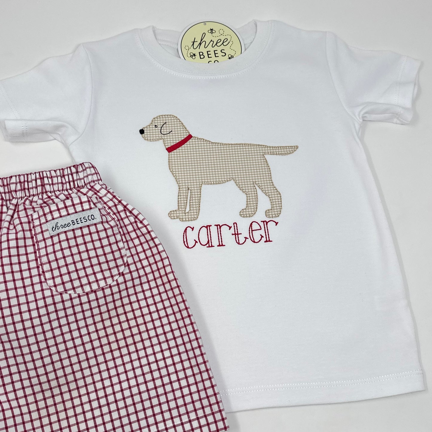 Boys Best Friend Boys T-Shirt