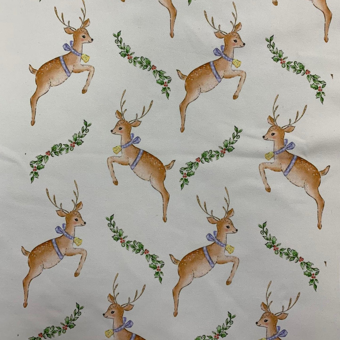 Jumping Reindeer in Blue with Holly Lounge Set