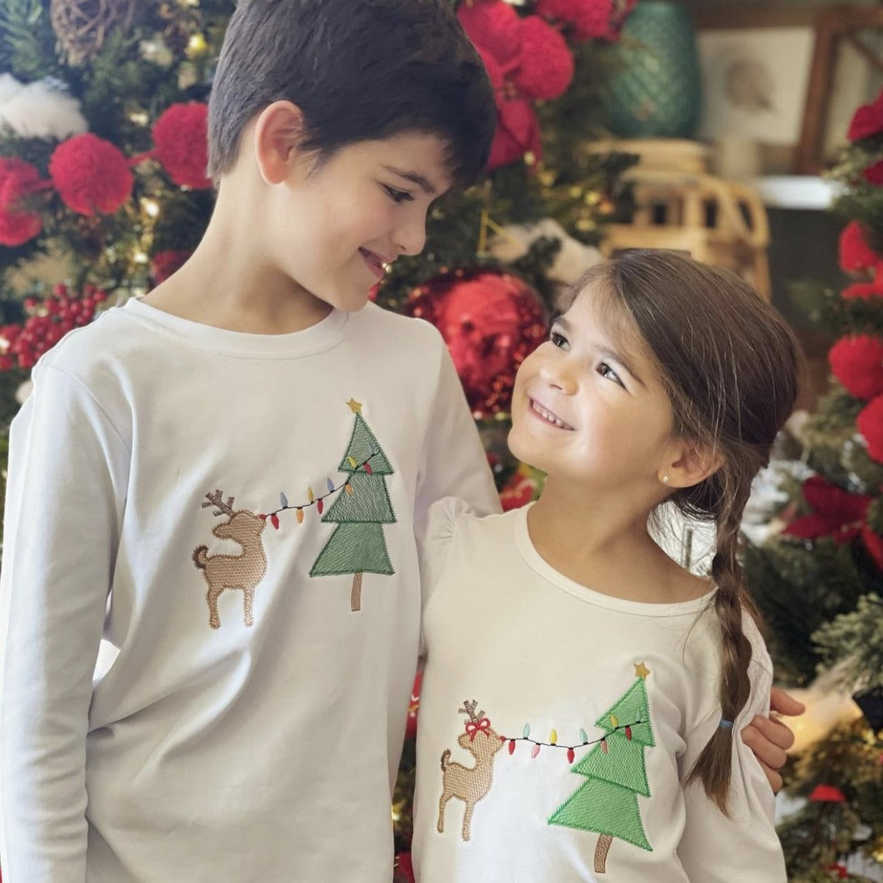 Reindeer Stringing Lights Embroidery Boys T-Shirt