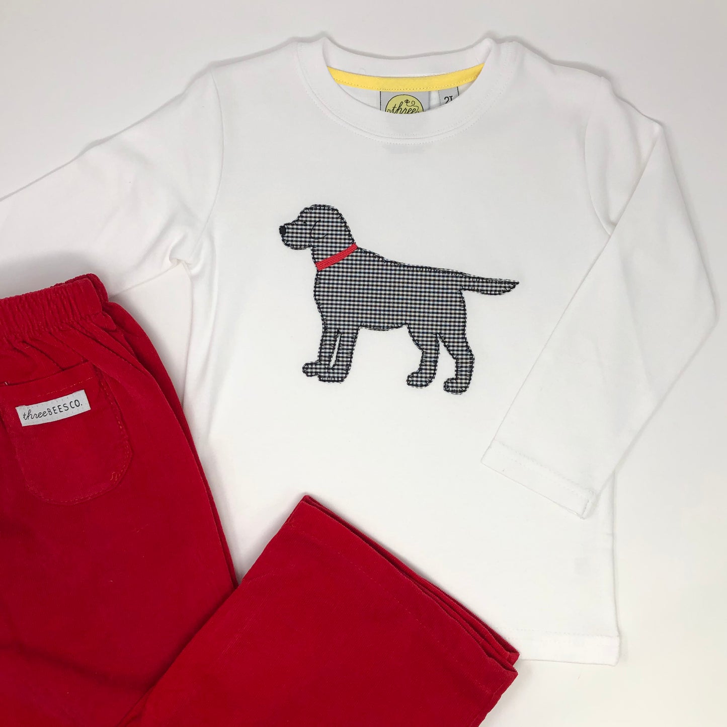 Boys Best Friend Boys T-Shirt