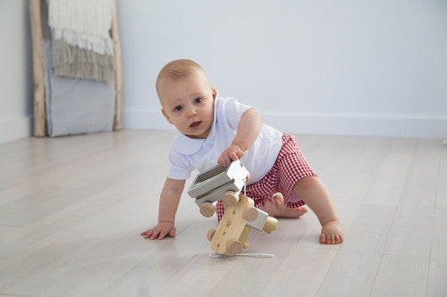 Boy's Seersucker and Gingham Shorts (Regular Length)
