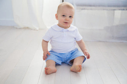 Boy's Seersucker and Gingham Shorts (Regular Length)