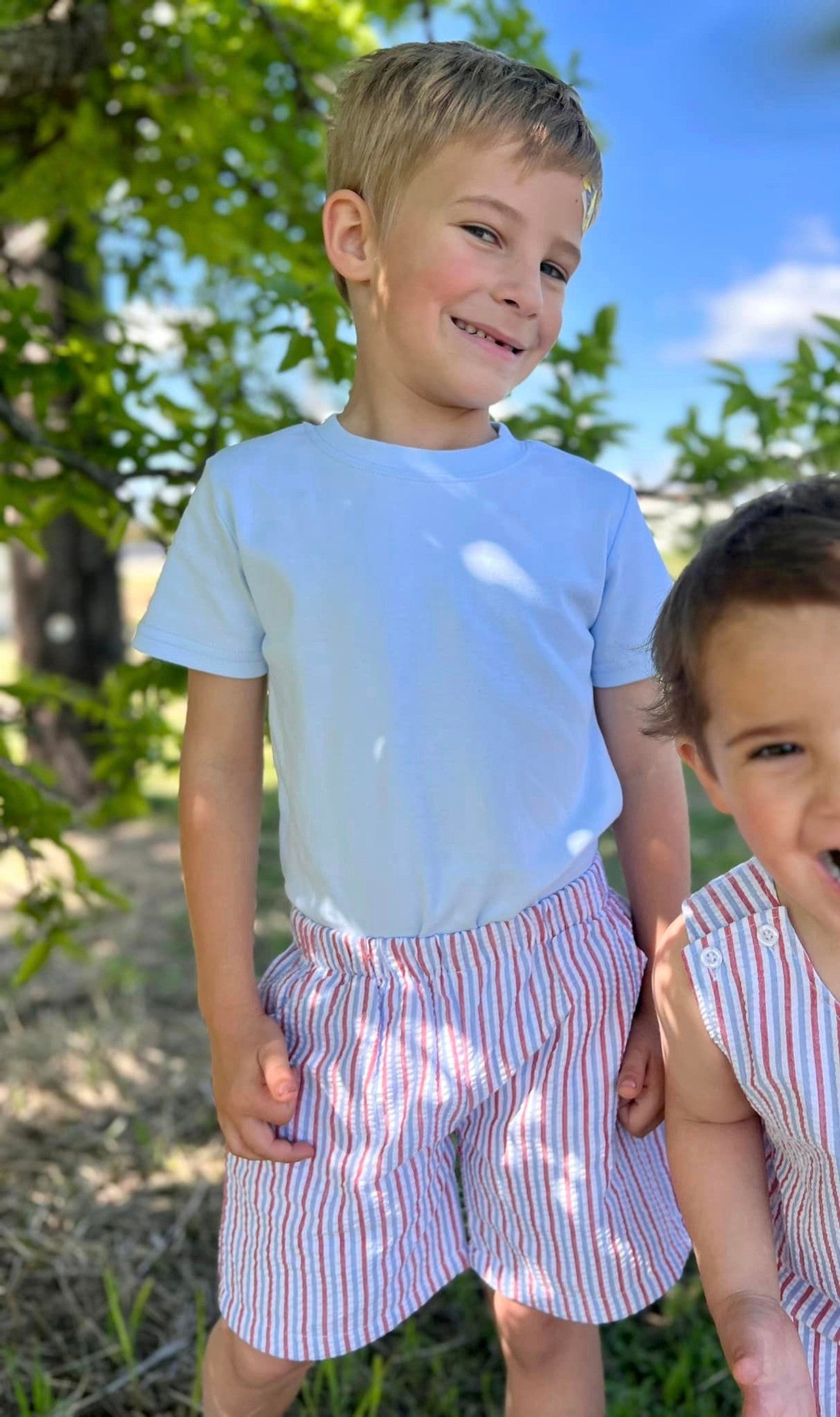 Boy's Seersucker and Gingham Shorts (Regular Length)