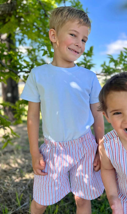 Boy's Seersucker and Gingham Shorts (Regular Length)