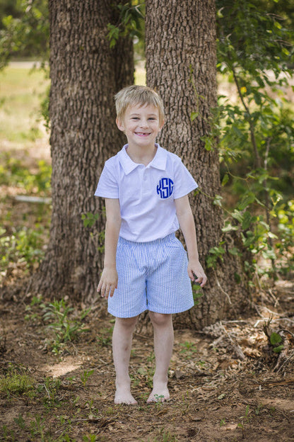 Boy's Seersucker and Gingham Shorts (Regular Length)